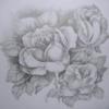 Flowers Drawing: оригинал