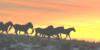 Схема вышивки «Horses on Sunset»