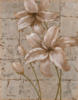 Схема вышивки «White Lilies on Silver»
