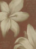 White Flower on Brown: оригинал