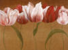 Схема вышивки «Dancing Tulips»