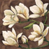Схема вышивки «White Magnolia on Brown»