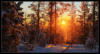 Утро в зимнем лесу: оригинал