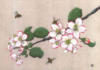 Схема вышивки «Ветка цветущей яблоньки»