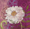 Схема вышивки «White Flowers on Purple»