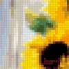 Flowers Collage - Sunflower: предпросмотр