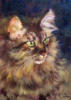 Схема вышивки «Портрет сибирской кошки»