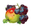 Схема вышивки «Виноград и яблоко»