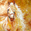 Andalusian Horse: оригинал