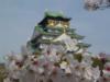 Сакура и пагода: оригинал