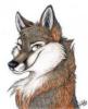 Схема вышивки «Кокетливая волчица»