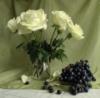 Схема вышивки «Белые розы, черный виноград»