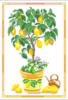 Лимонное деревце: оригинал