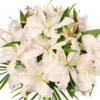 Схема вышивки «Bunch of White Lilies»