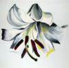 Схема вышивки «White Flower on White»