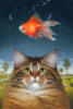 Кот и золотая рыбка: оригинал
