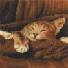 Схема вышивки «Котик спит»