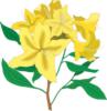 Схема вышивки «Yellow Flowers - Easy»