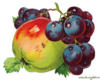 Схема вышивки «Яблоко и виноград»