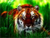 Схема вышивки «Величественный тигр»