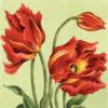 Схема вышивки «Red Tulips»
