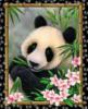 Схема вышивки «Панда - китайский мишка»