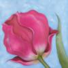 Pink Tulip on Blue: оригинал