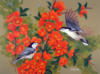 Схема вышивки «Райские птички»