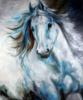 White Andalusian Horse: оригинал