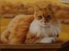 Портрет рыжего кота: оригинал