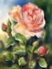 Схема вышивки «Розы нежный цветок»
