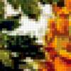 Chrysanthemum: предпросмотр