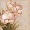 Схема вышивки «Elegant Tulips»