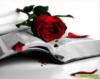 Книга, роза...: оригинал