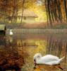 Схема вышивки «Осенний пейзаж с лебедем»