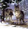 Схема вышивки «Волки в лесу»