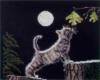 Схема вышивки «Котик в лунном свете»