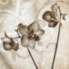 Схема вышивки «Golden Orchid - Easy»
