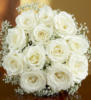 Белые розы: оригинал