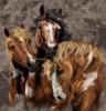 Схема вышивки «Шикарные кони»