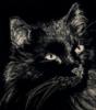 Чёрный кот на чёрном: оригинал