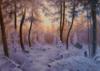 Багряный закат в зимнем лесу: оригинал