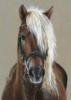 Портрет белогривой лошадки: оригинал