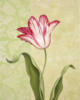 Схема вышивки «Tulip on Green»