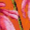 Framed Flowers - Echinacea: предпросмотр