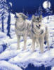 Волки в зимнем лесу: оригинал