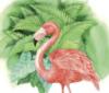 Схема вышивки «Flamingo Paradise»