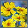 Схема вышивки «Подушка "Желтые цветы"»