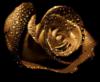 Схема вышивки «Роза золотая»