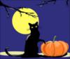 Чёрный кот и полная луна: оригинал